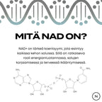 Mitä NAD on?