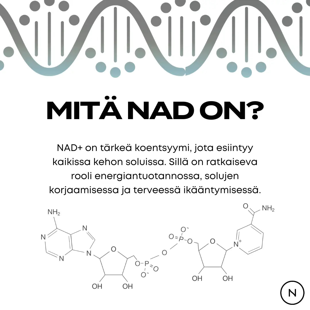 Mitä NAD on?