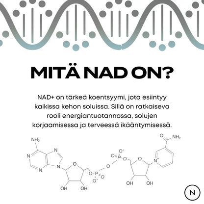 Mitä NAD on?