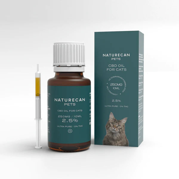 CBD-öljy kissalle